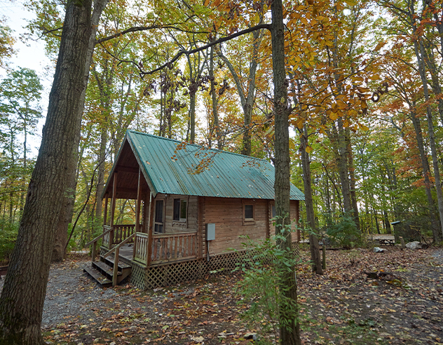 Spring Gulch Rental Cabin